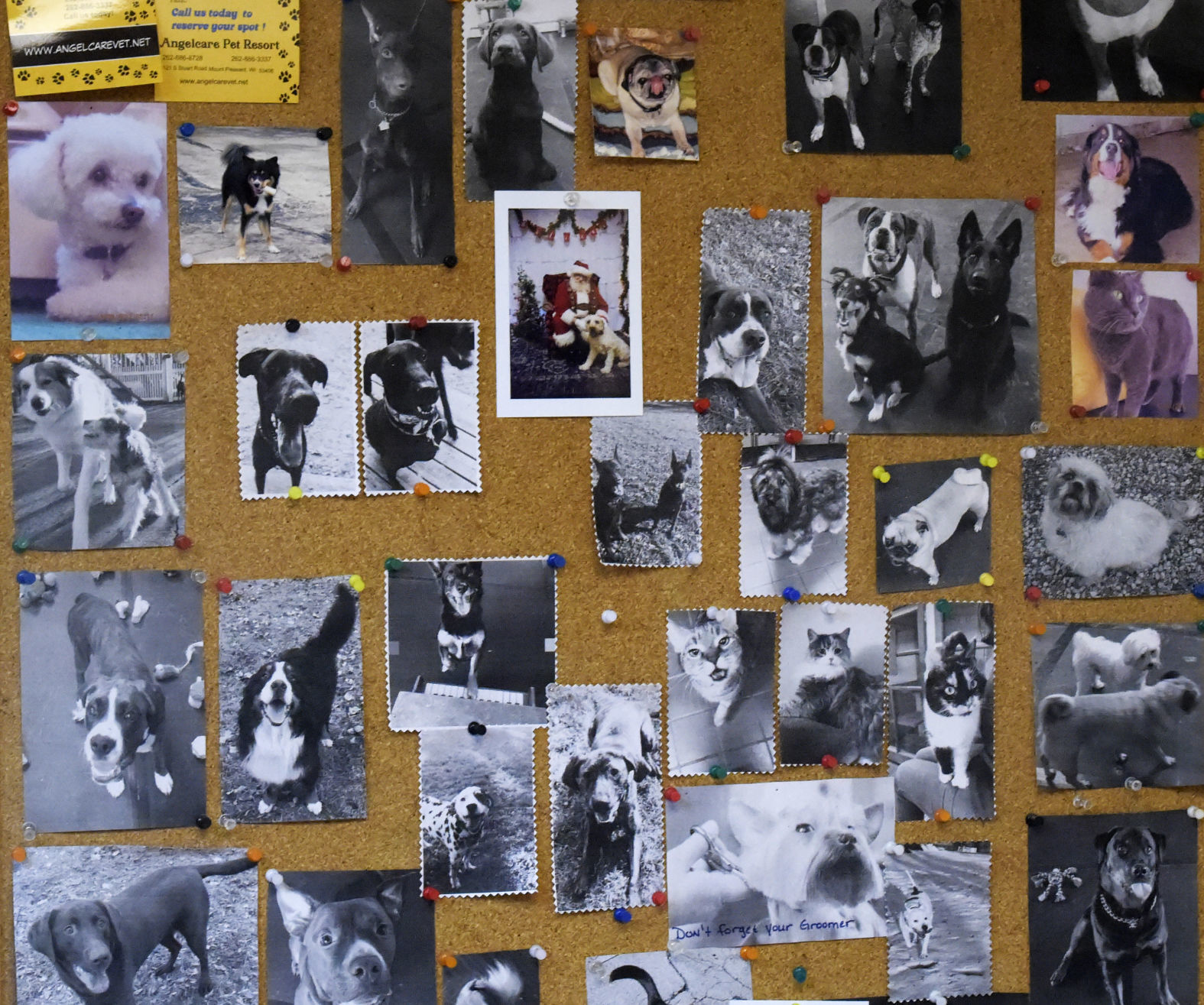 Photo wall